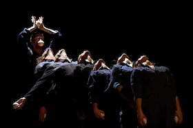 superorganism - Stefan Sing & Critical-Mess