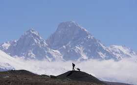 Mit 4 Km/H gen Jerusalem - Von der verrücktesten Pilgerwanderung aller Zeiten