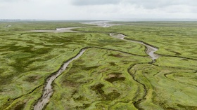 Deutschlands Naturwunder – Das Wattenmeer