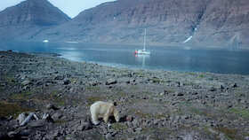 Kulinarisches NaturfilmKino »Home is the Ocean«