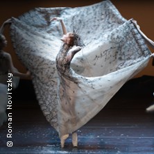 Der Nussknacker