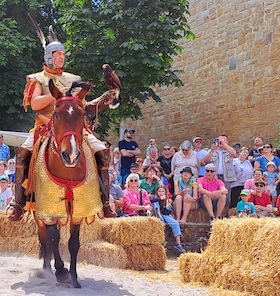 Römerfest Alzey 2026 - Eintrittskarte
