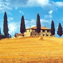 Toskana - Siena und Florenz Live