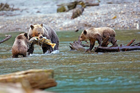 Abenteuer Fernweh: Faszination Yukon und Alaska