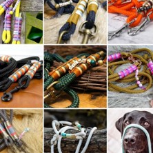 Hundeleine & - Halsband selbst erstellen