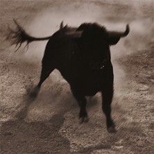 Carmen