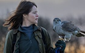 Sommerkino – NaturfilmNacht Born: »H wie Habicht«