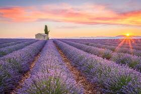 Provenzalischer Abend - Erleben Sie die Provence direkt auf Gut Landscheid