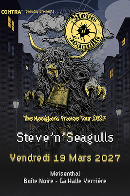 STEVE´N´SEAGULLS + guests