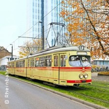 Halloweenfahrt für Kinder