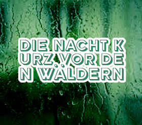 Die Nacht kurz vor den Wäldern