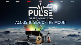 Pulse - Acoustic Side Of The Moon