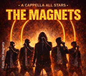 The Magnets