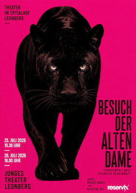 Der Besuch der alten Dame