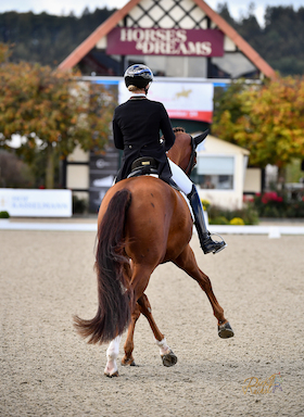 Covalliero Dressage Days | Samstag