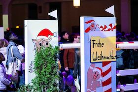 Sonntag Nachmittagsveranstaltung 2026