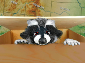 Rocky Waschbär – Der Apfelkuchendieb