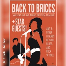 The Briccs